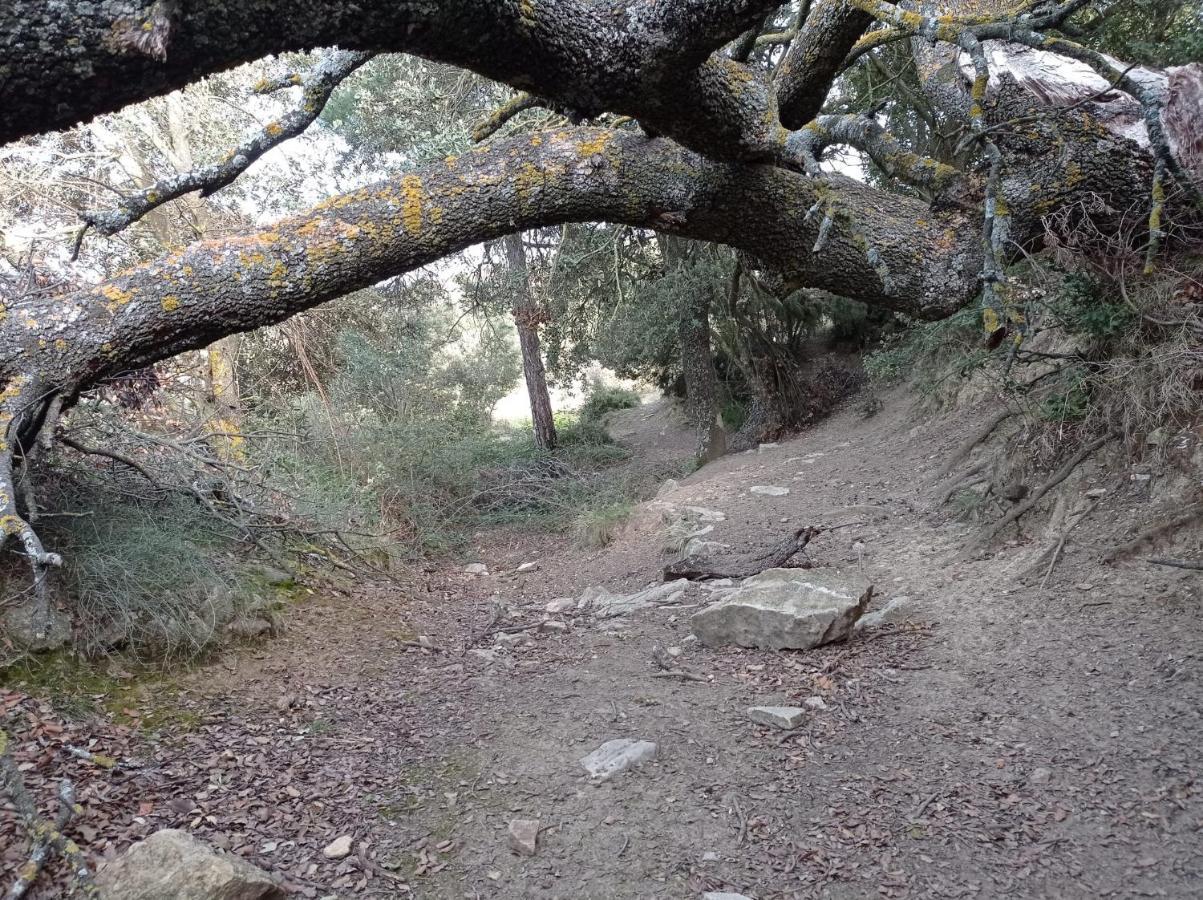 Apartamentos Casa Rural El Ventanico Olocau del Rey Dış mekan fotoğraf